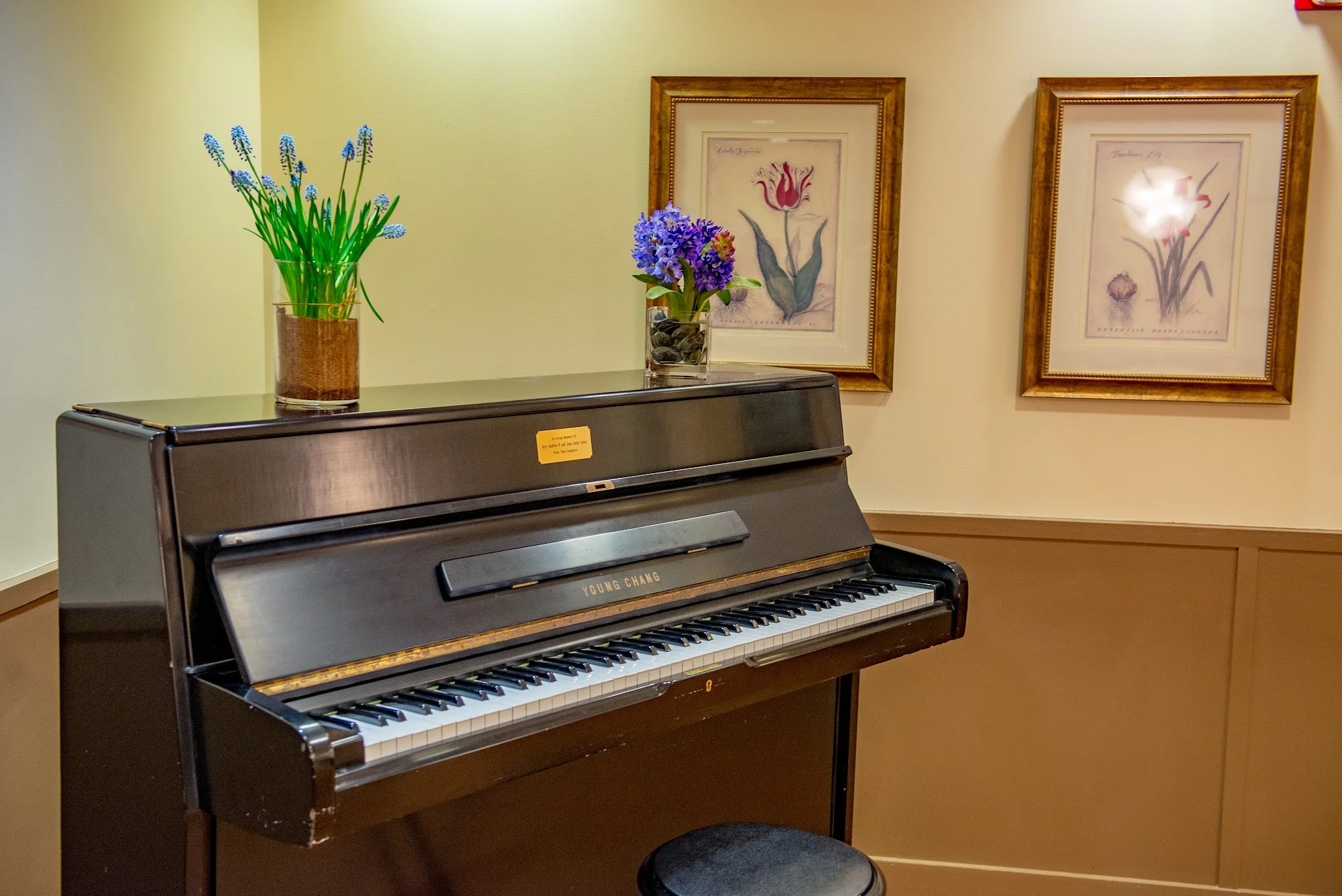 KIMBALL FARMS NURSING CARE CENTER