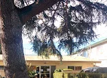 KYAKAMEENA CARE CENTER