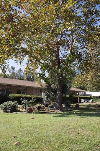 LAKE MONTGOMERY HEALTH AND REHABILITATION CENTER