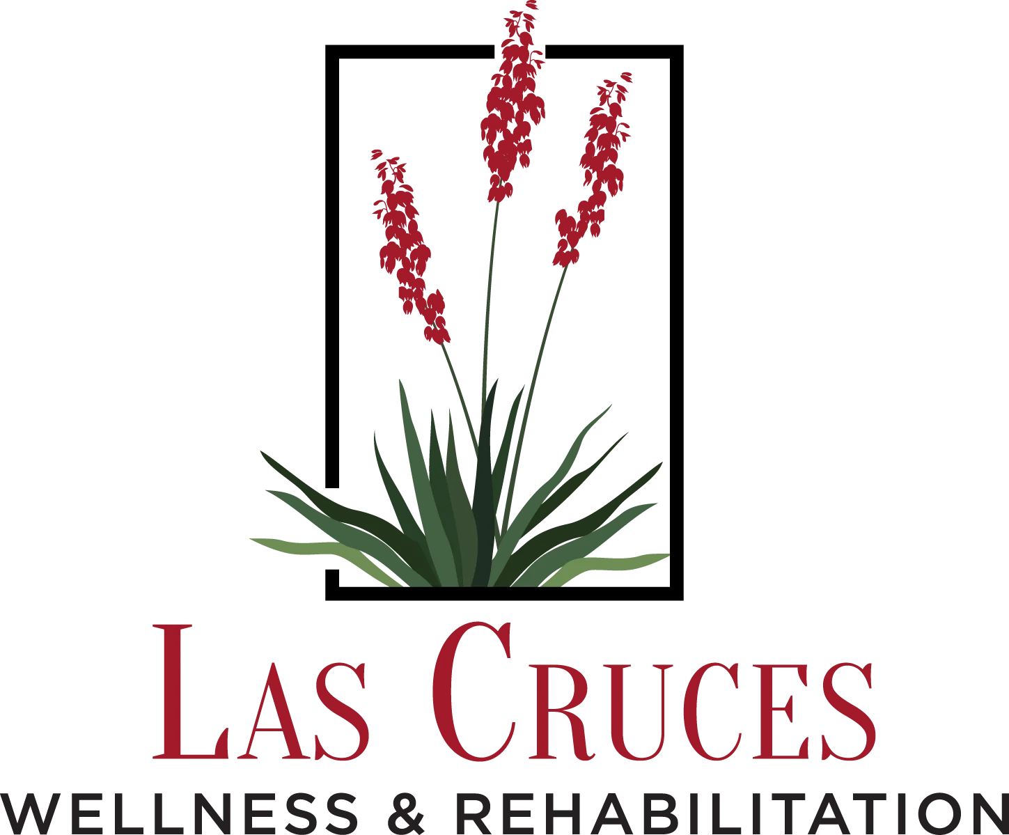 LAS CRUCES WELLNESS & REHABILITATION LLC