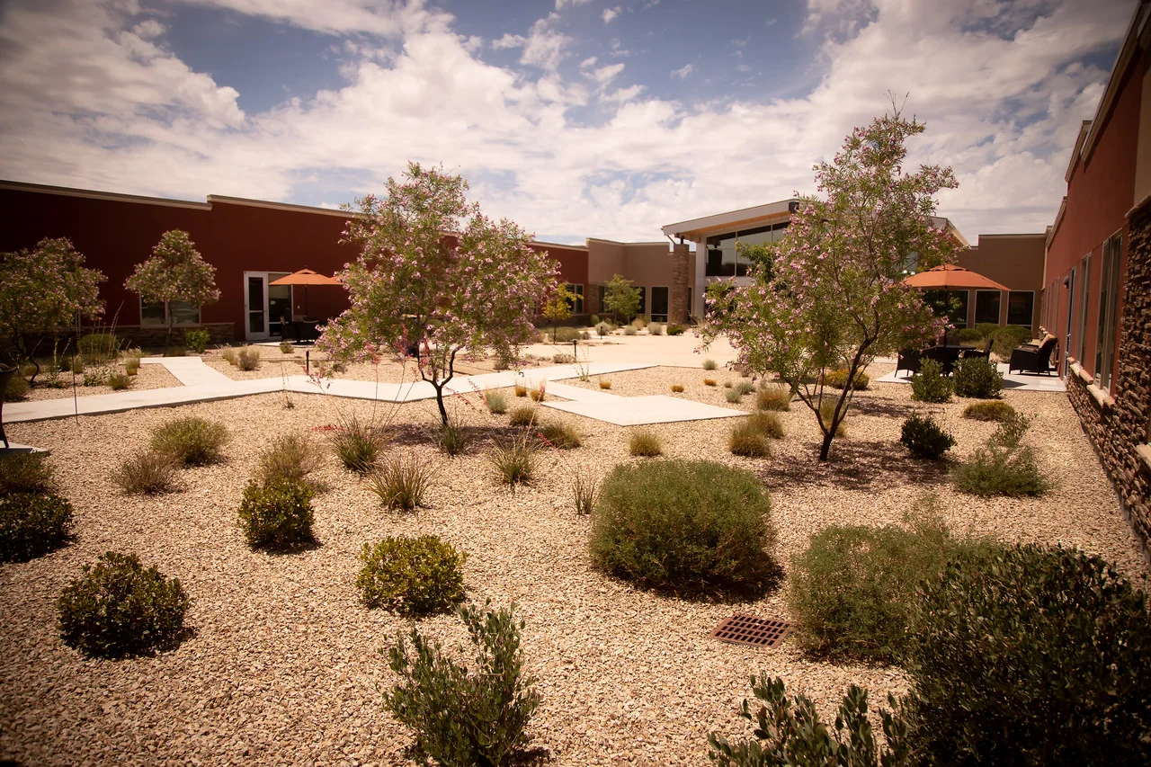 LAS CRUCES WELLNESS & REHABILITATION LLC