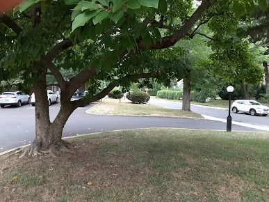 LAUREL SQUARE HEALTHCARE AND REHABILITATION CENTER