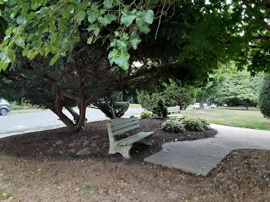 LAUREL SQUARE HEALTHCARE AND REHABILITATION CENTER