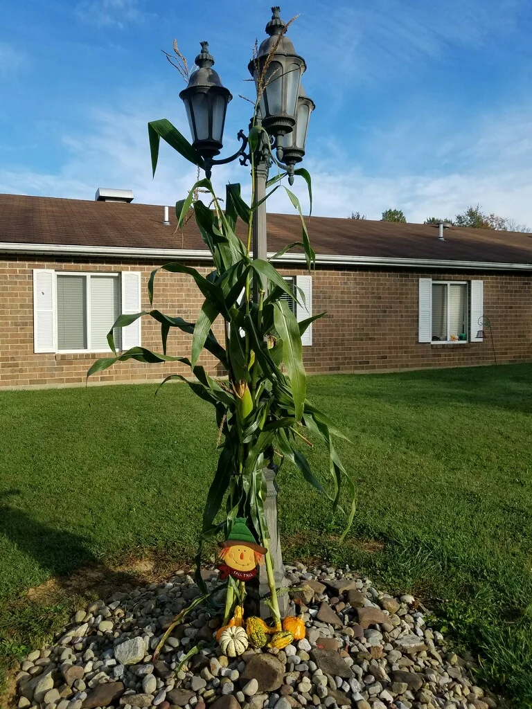 LECOM AT SNYDER MEMORIAL