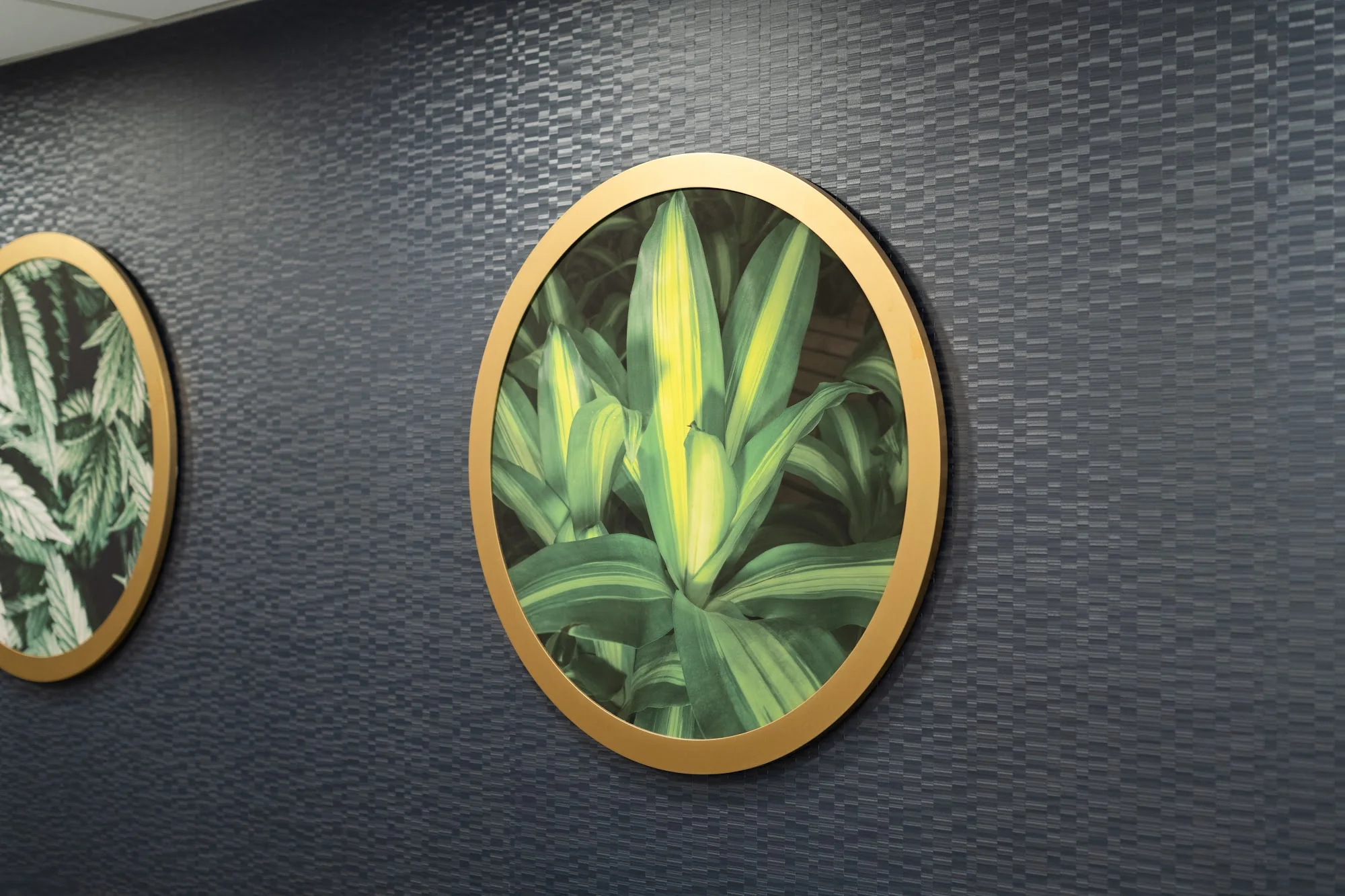 LIBERTY POINTE REHABILITATION AND HEALTHCARE CTR