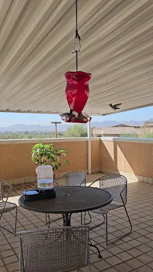 LIFE CARE CENTER OF TUCSON