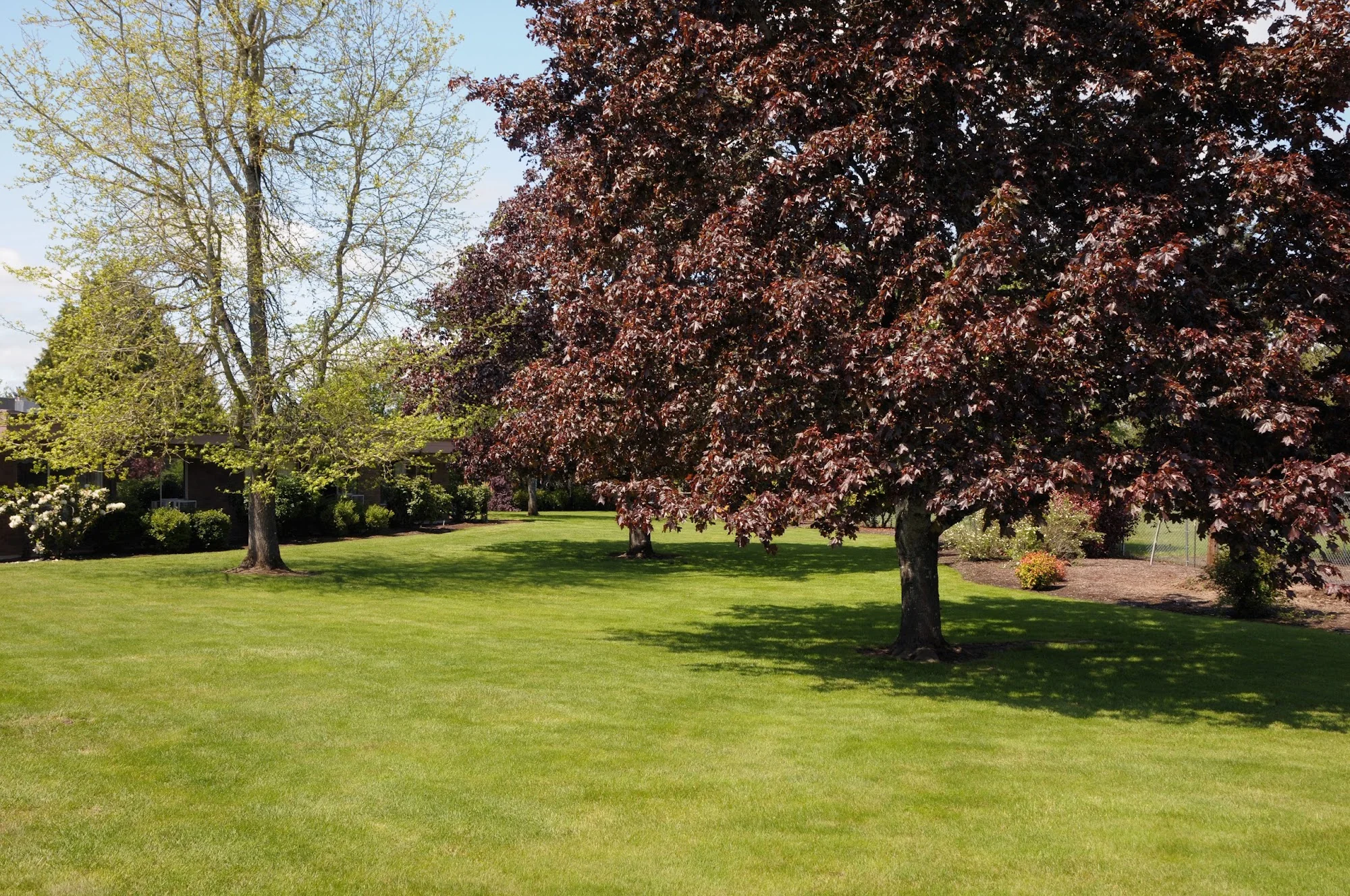 LIFE CARE CENTER OF MCMINNVILLE