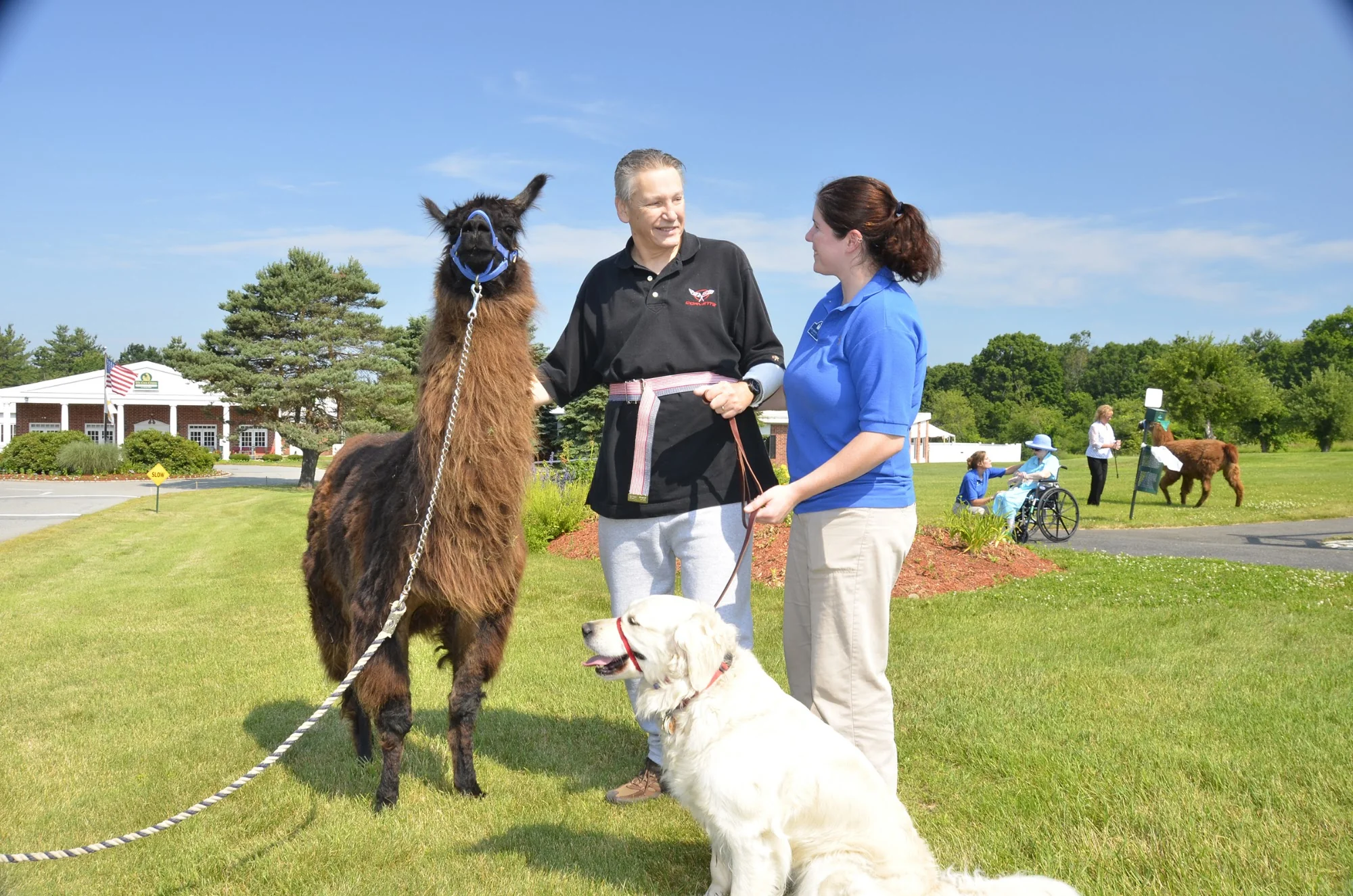 LIFE CARE CENTER OF NASHOBA VALLEY