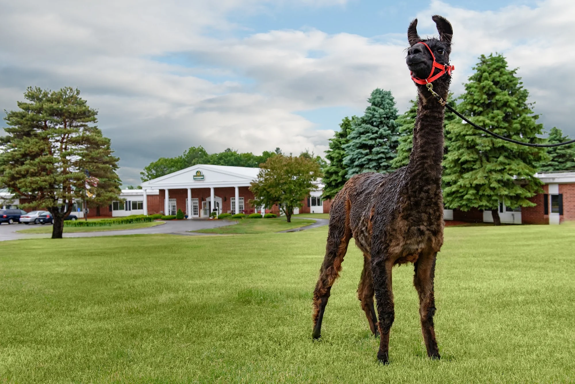 LIFE CARE CENTER OF NASHOBA VALLEY