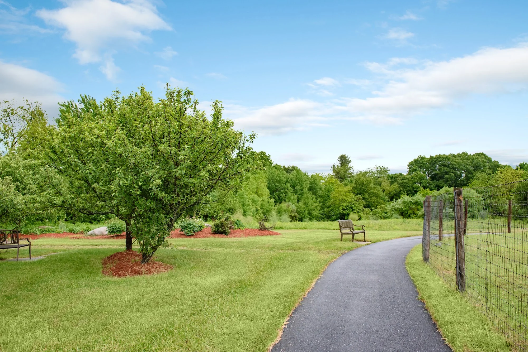 LIFE CARE CENTER OF NASHOBA VALLEY