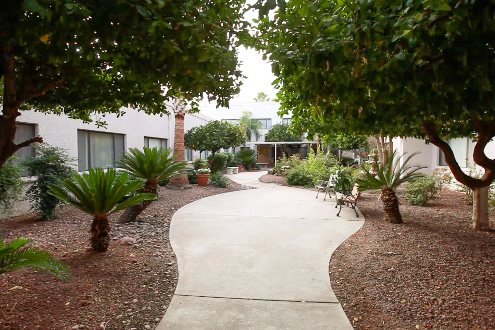 LIFE CARE CENTER OF TUCSON