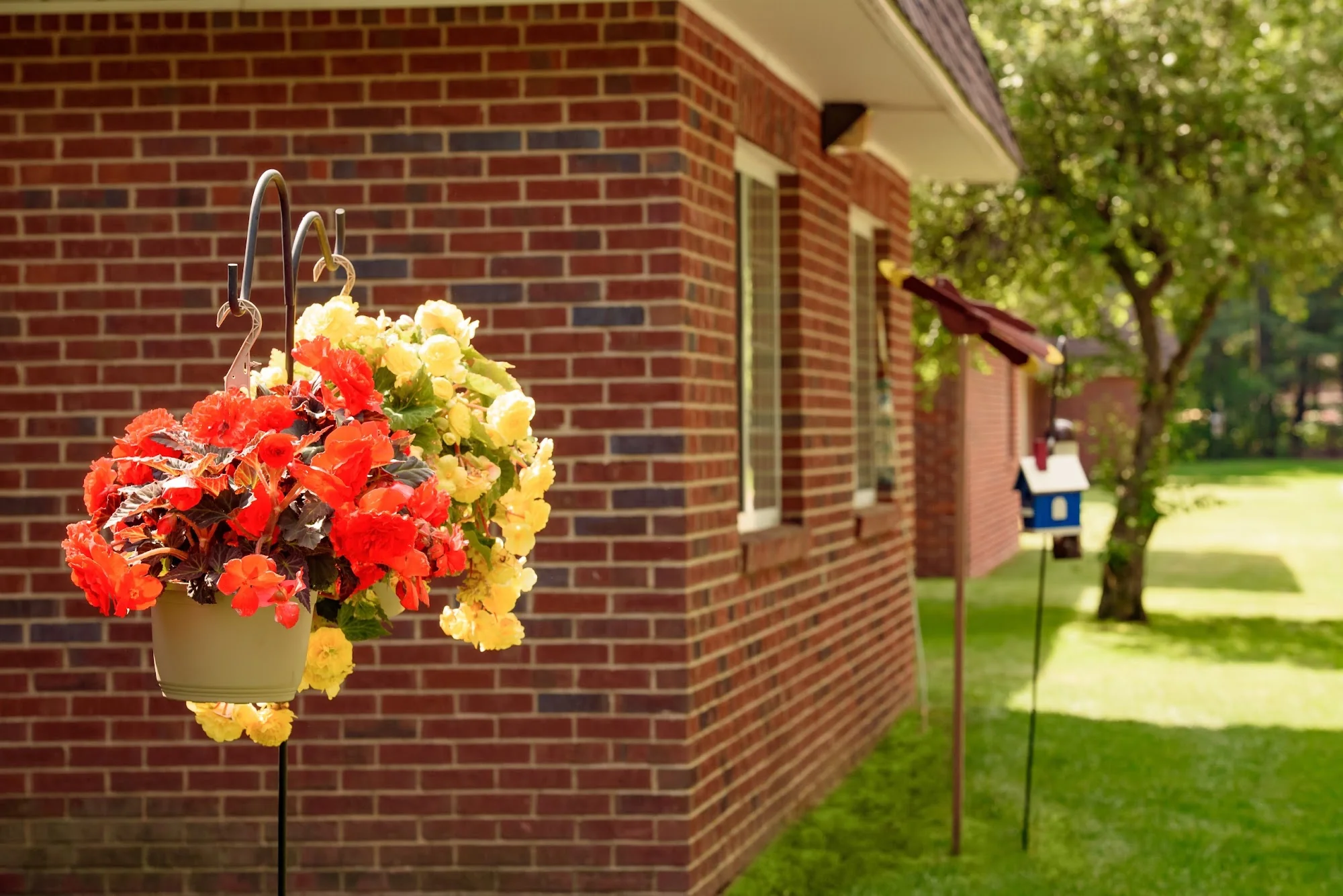 LIFE CARE CENTER OF WILBRAHAM