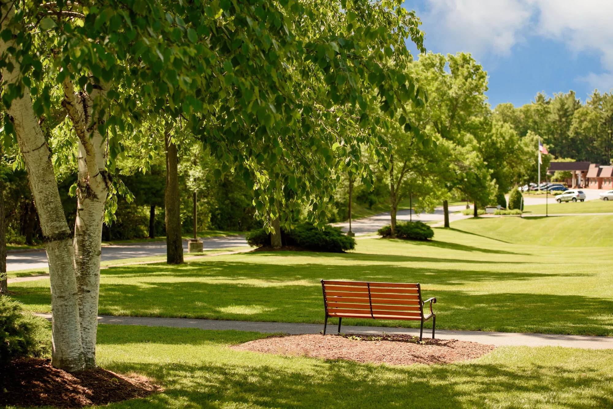 LIFE CARE CENTER OF WILBRAHAM
