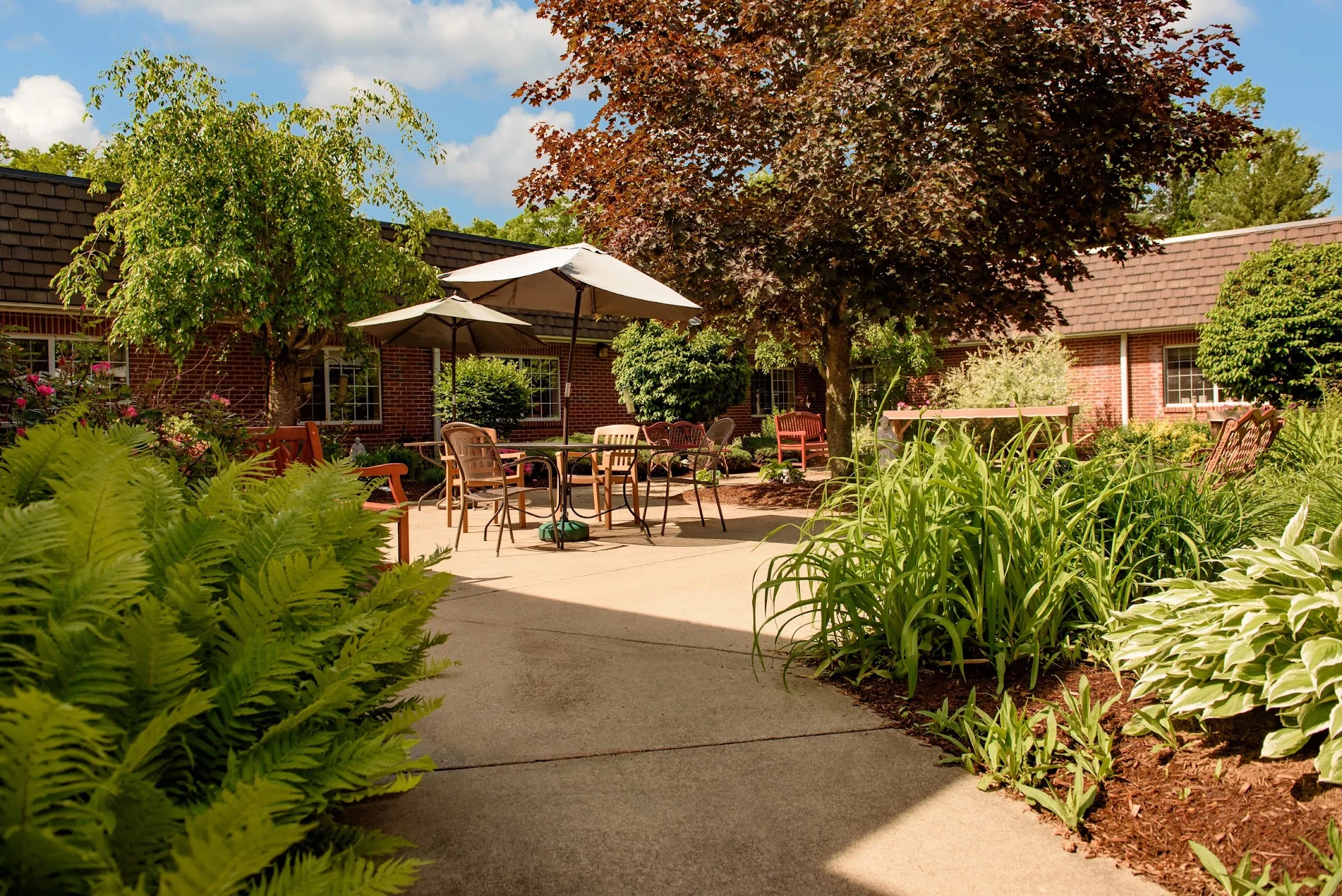 LIFE CARE CENTER OF WILBRAHAM