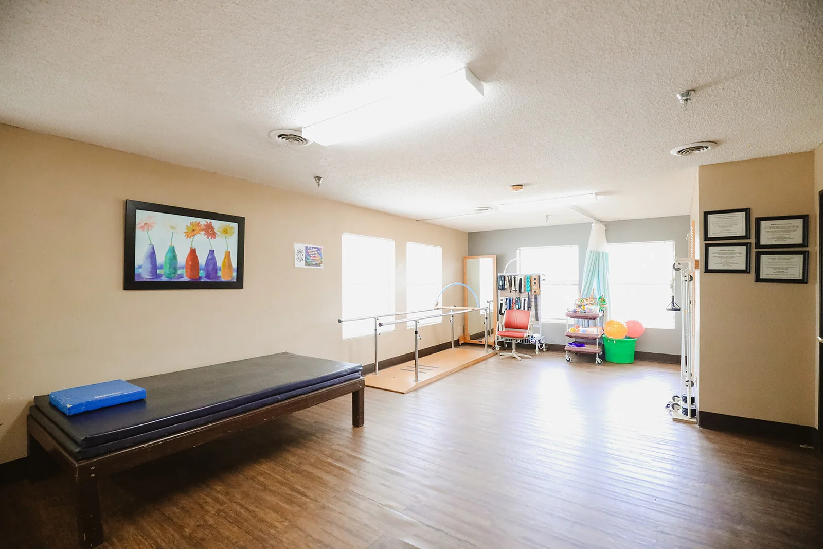 LILY SPRINGS REHABILITATION AND HEALTHCARE CENTER