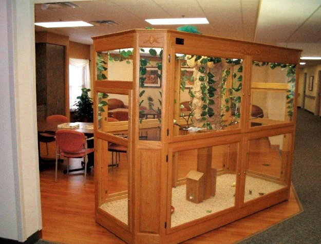 LIVING COMMUNITY OF ST JOSEPH
