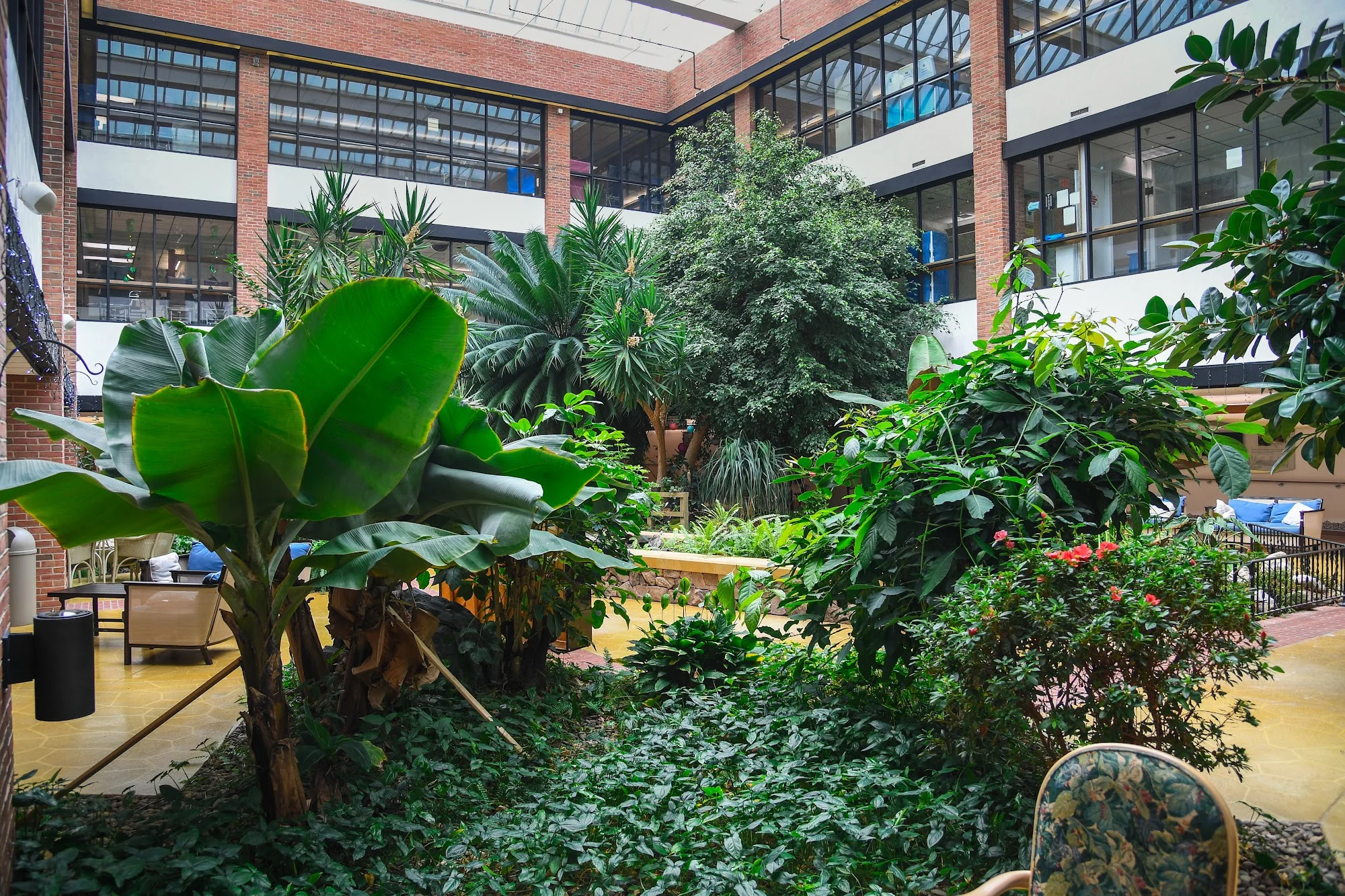 LOCK HAVEN REHABILITATION AND SENIOR LIVING