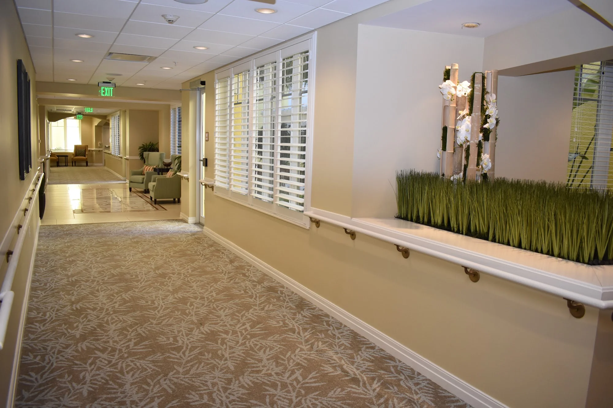 Lodge at Cypress Cove, the - Skilled Nursing photo