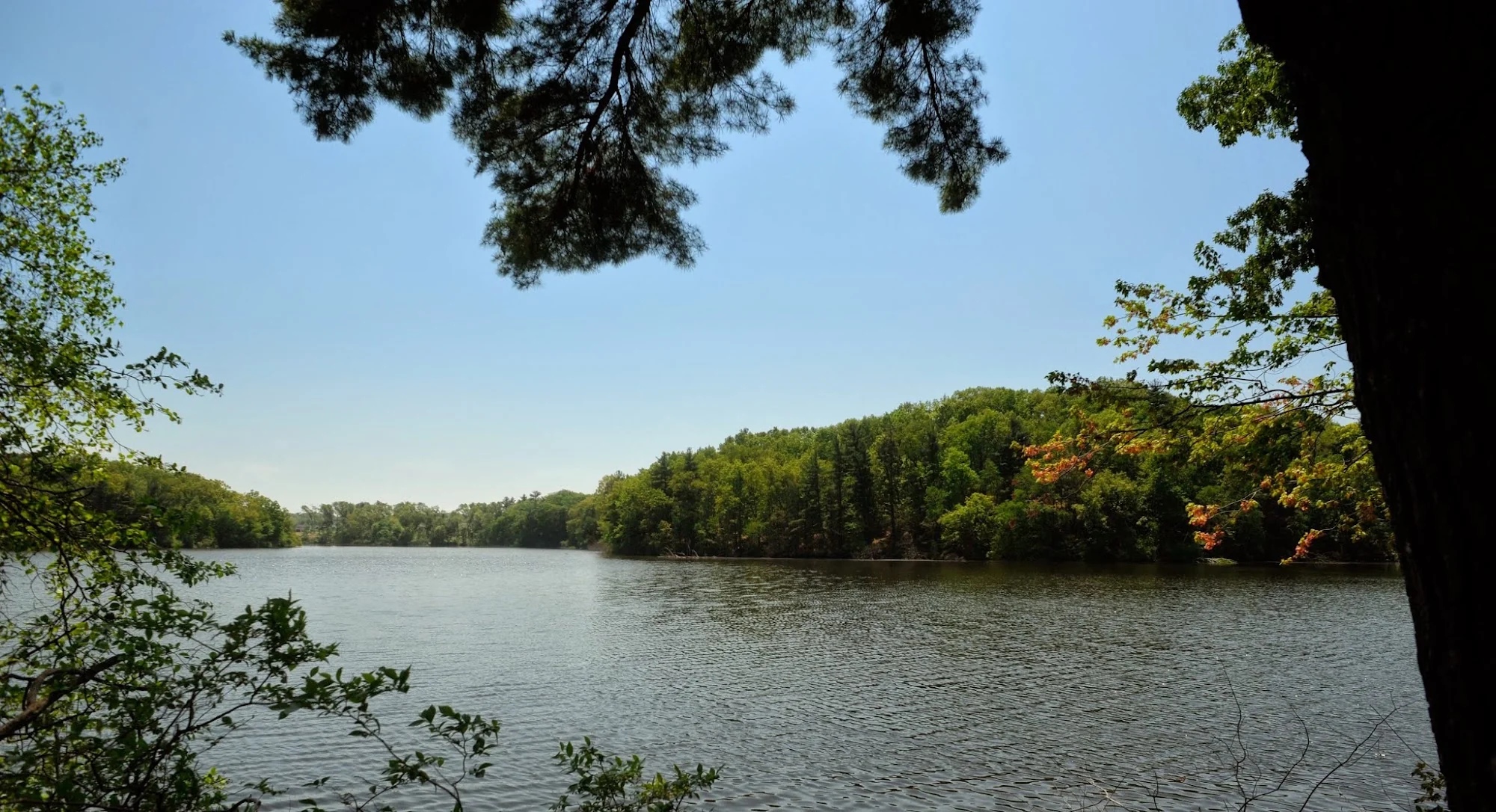 LOOMIS LAKESIDE AT REEDS LANDING