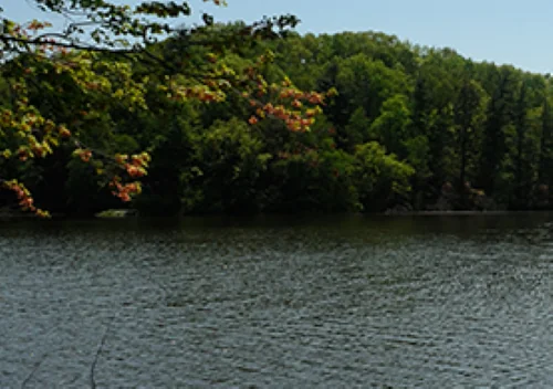 LOOMIS LAKESIDE AT REEDS LANDING