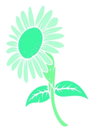 LOUISBURG HEALTHCARE & REHAB CENTER