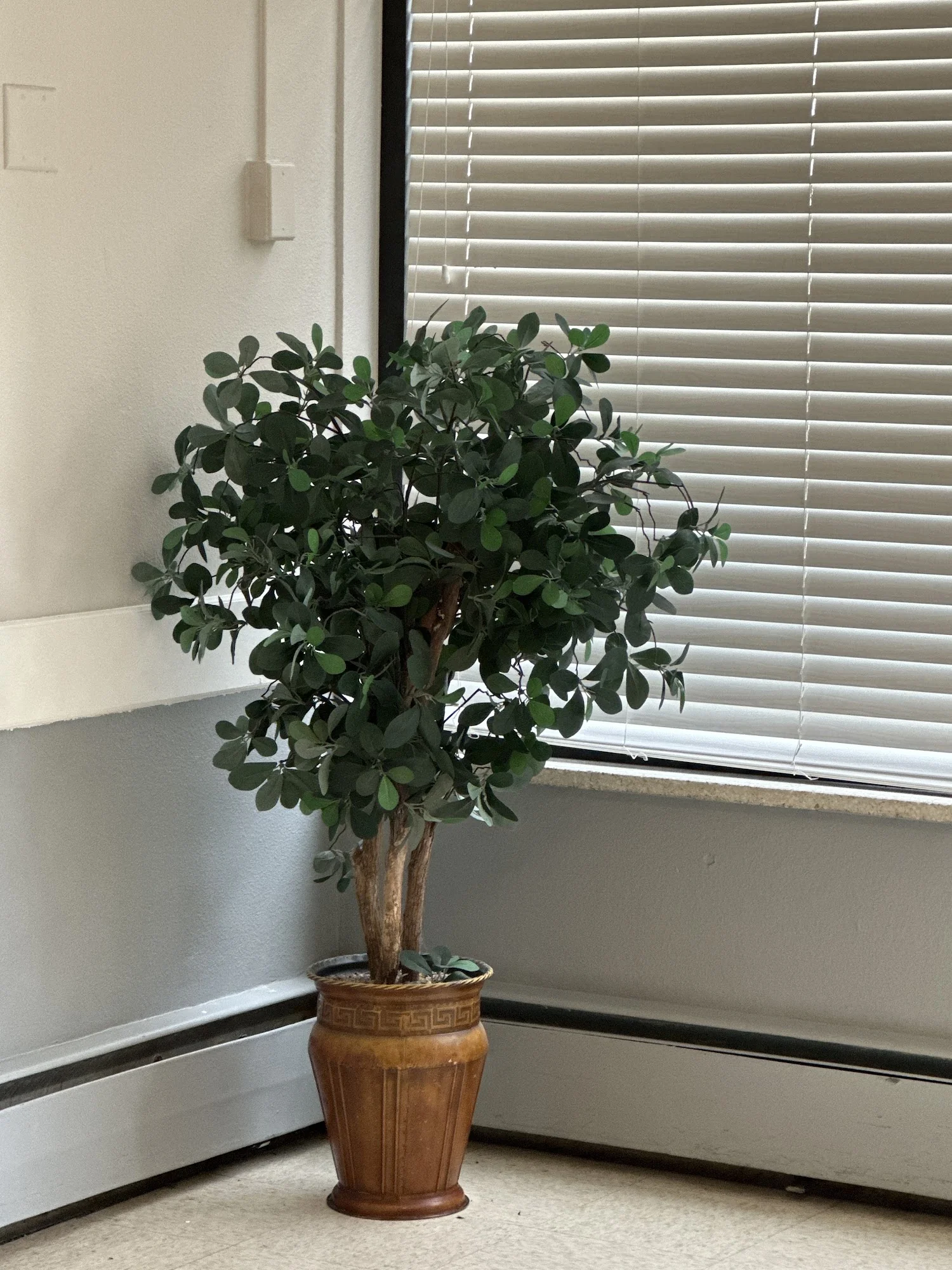 LOWRY HILLS CARE AND REHABILITATION