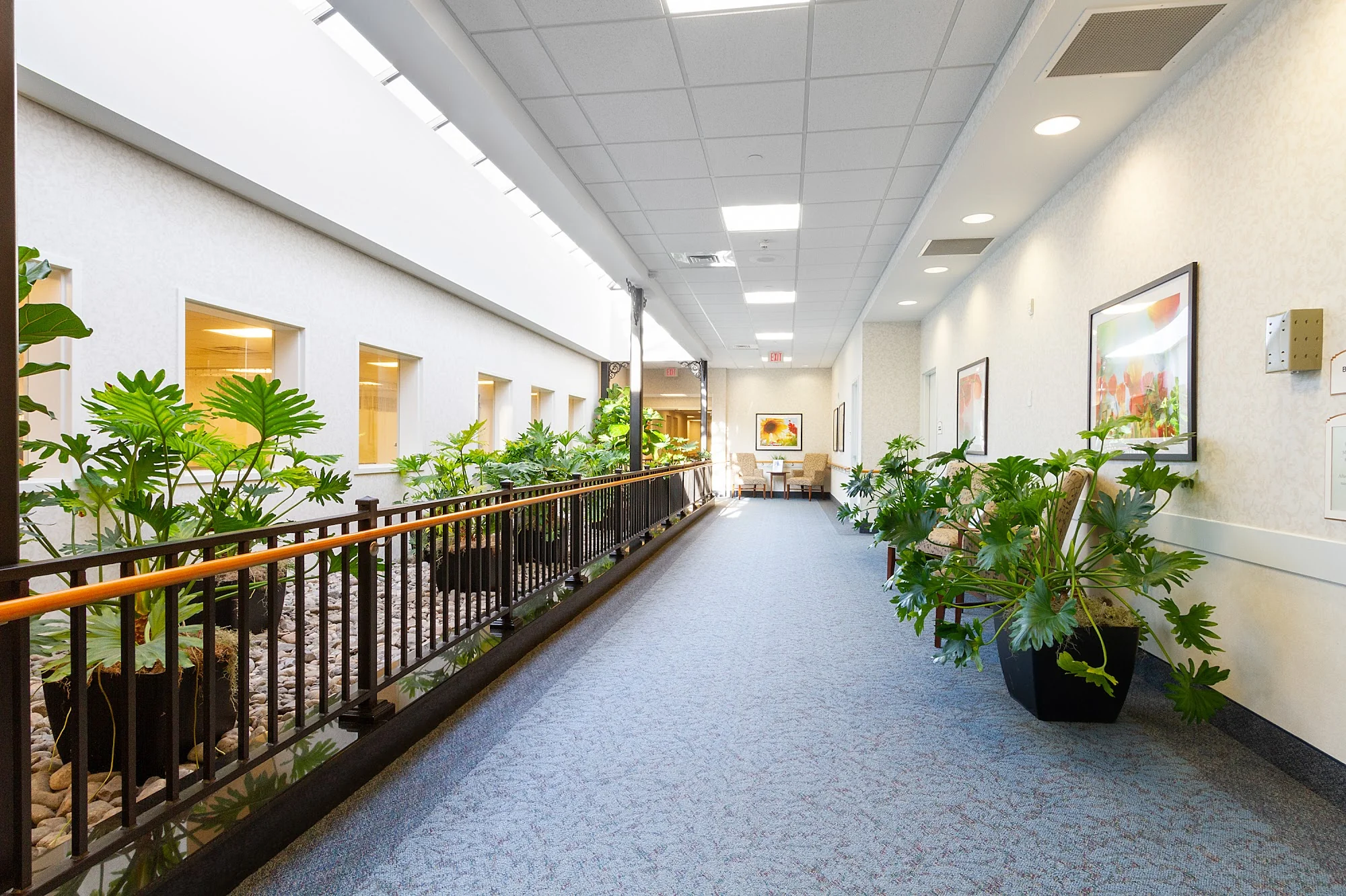 LUDLOWE CENTER FOR HEALTH & REHABILITATION