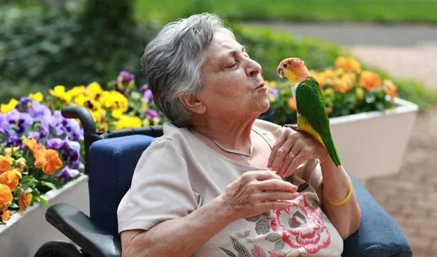 LUTHER WOODS NURSING AND REHABILITATION CENTER
