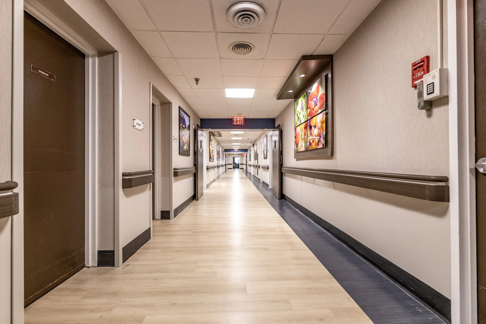 LUXOR NURSING AND REHABILITATION AT MILLS POND