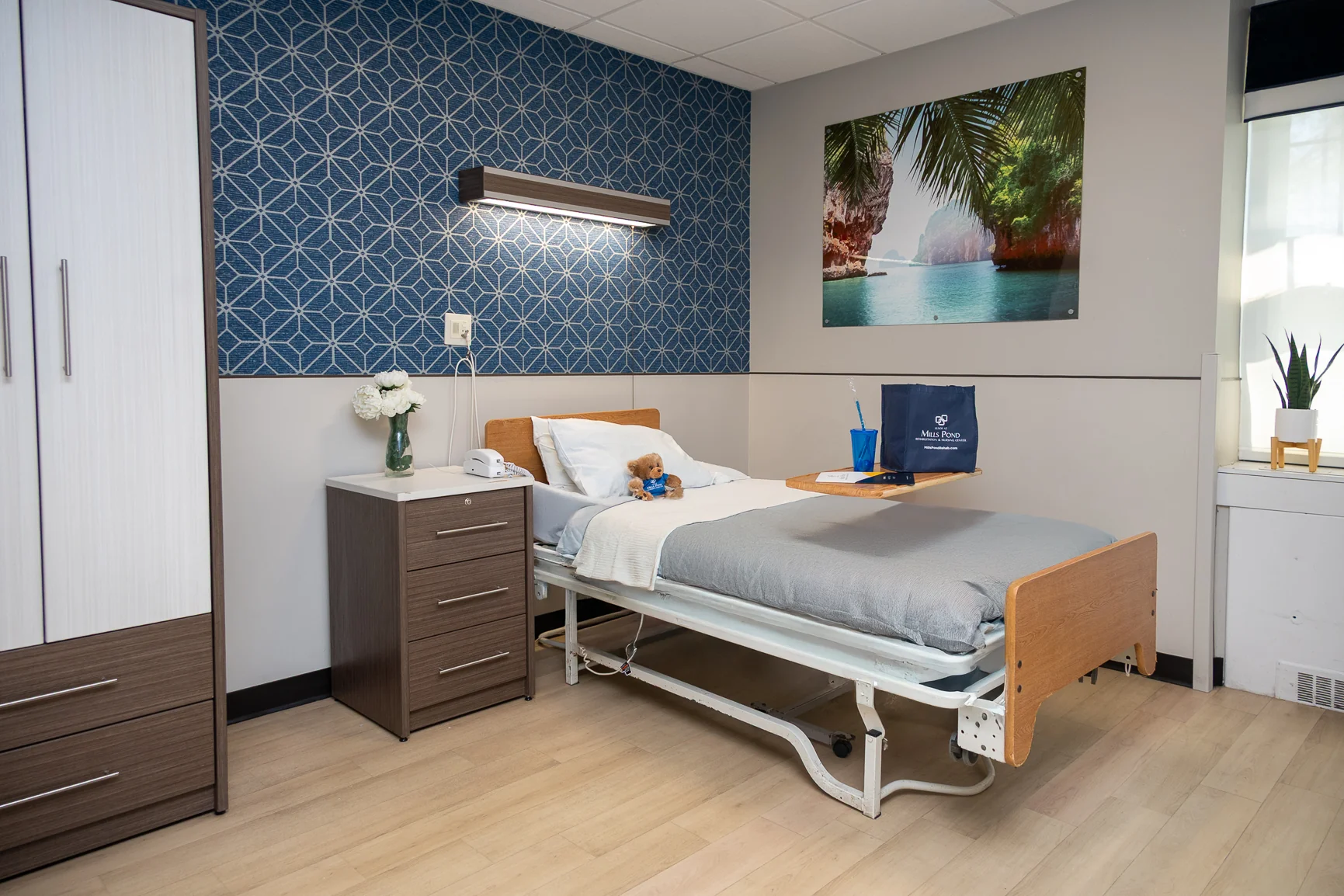 LUXOR NURSING AND REHABILITATION AT MILLS POND