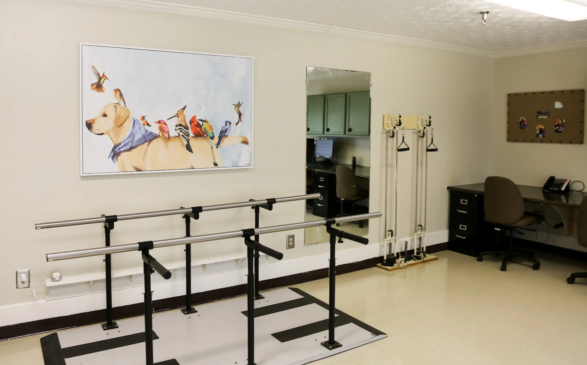 LYNN HAVEN HEALTH AND REHABILITATION