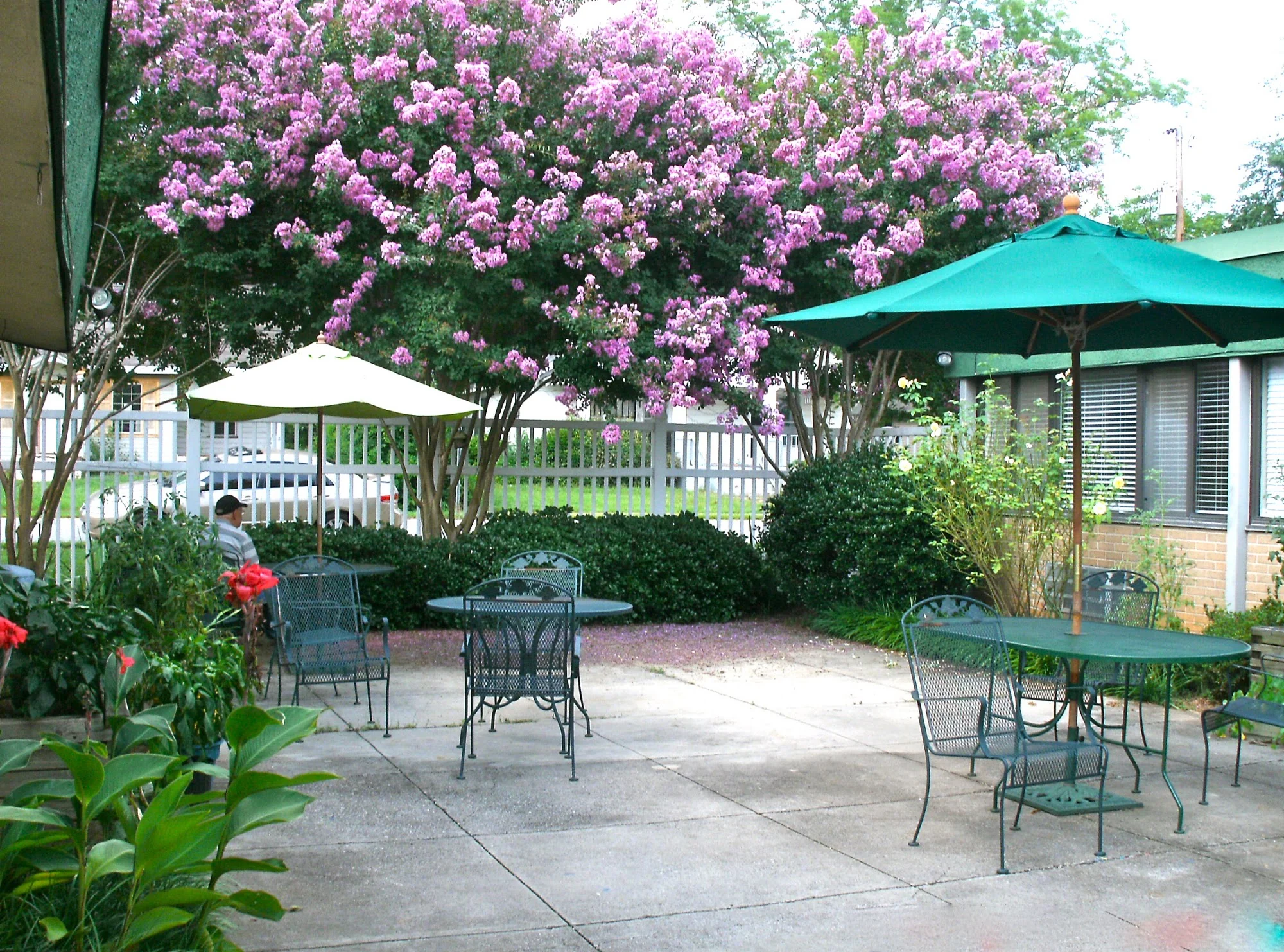 MAGNOLIA MANOR - GREENVILLE