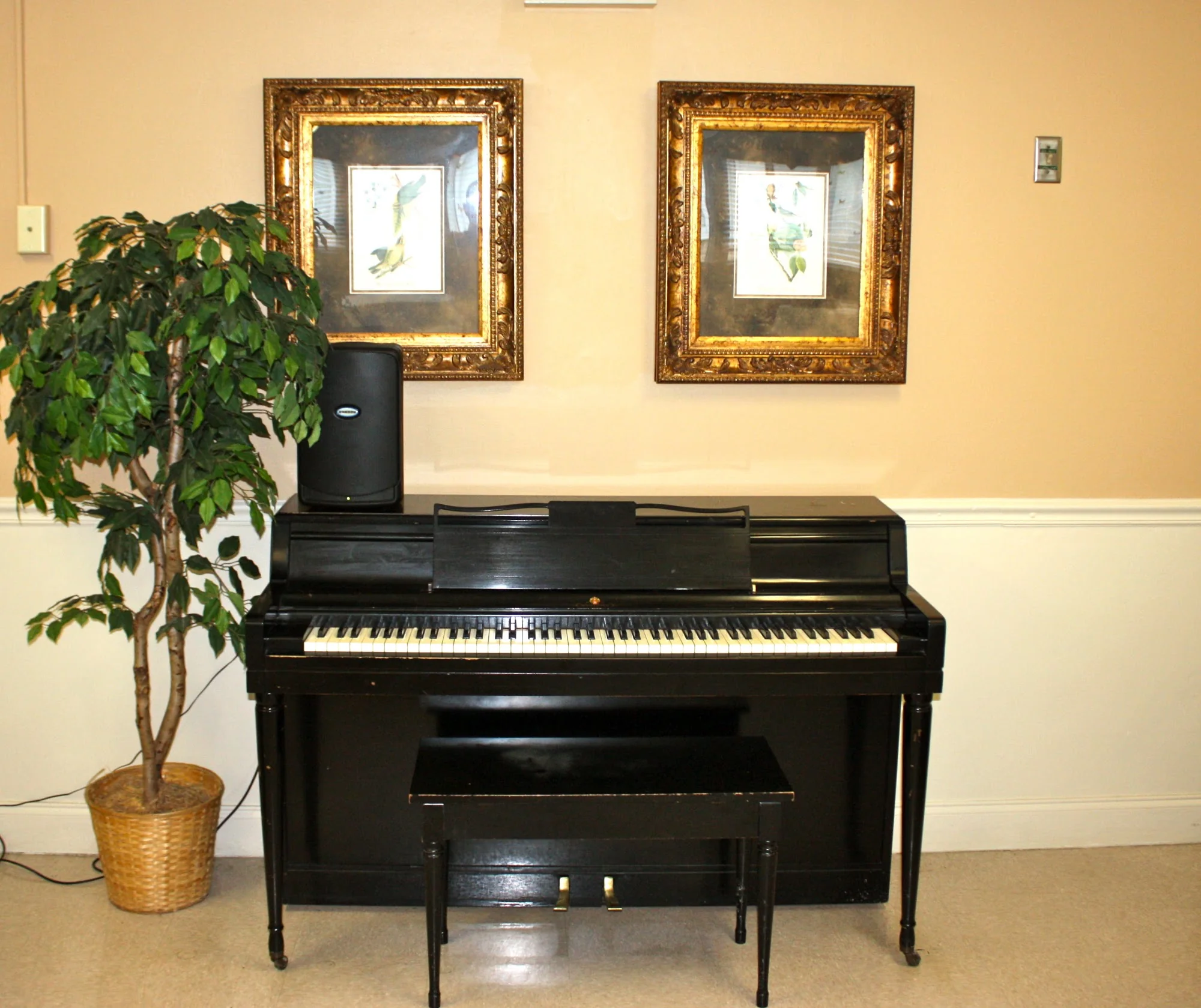 MAGNOLIA MANOR - GREENVILLE
