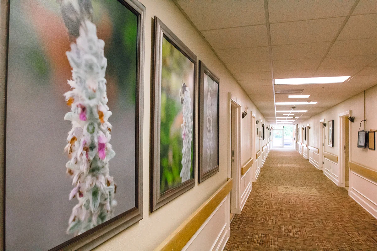 MARIETTA CENTER FOR NURSING AND HEALING