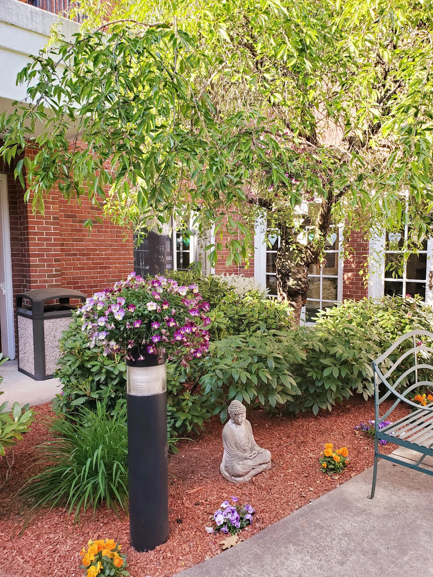 MARY ANN MORSE NURSING & REHABILITATION