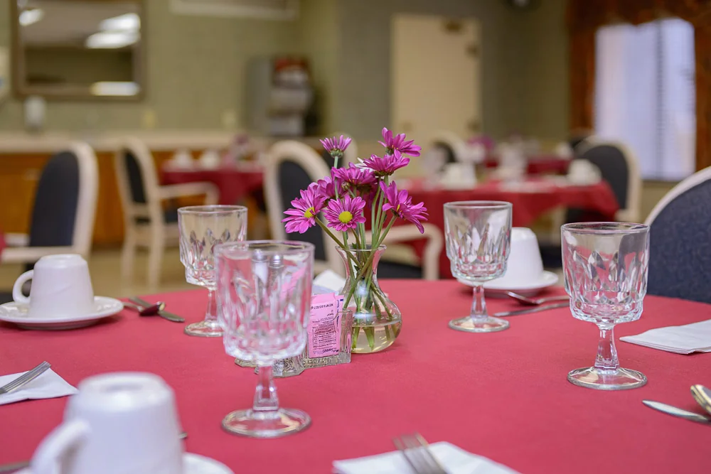 MAYFAIR VILLAGE NURSING CARE C