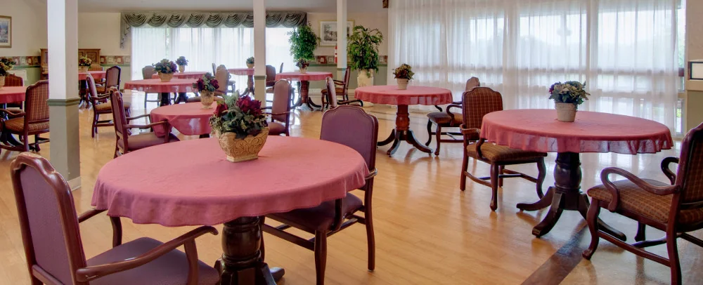 MEADOW VIEW HEALTH AND REHABILITATION