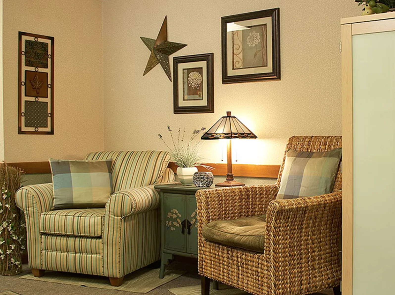 MEADOW VIEW HEALTH SERVICES