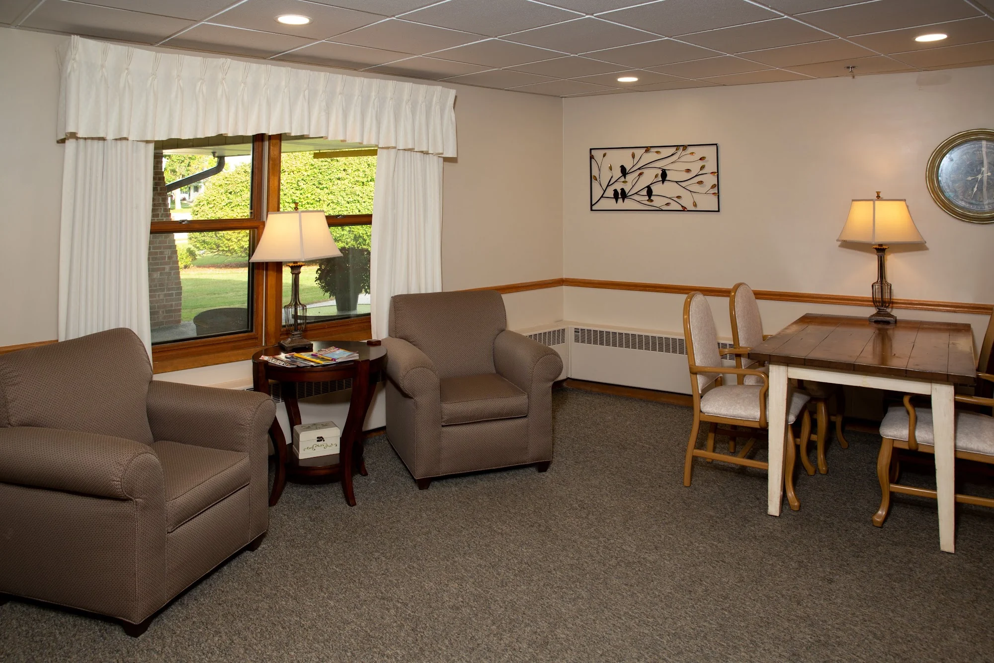 MEADOW VIEW HEALTH SERVICES