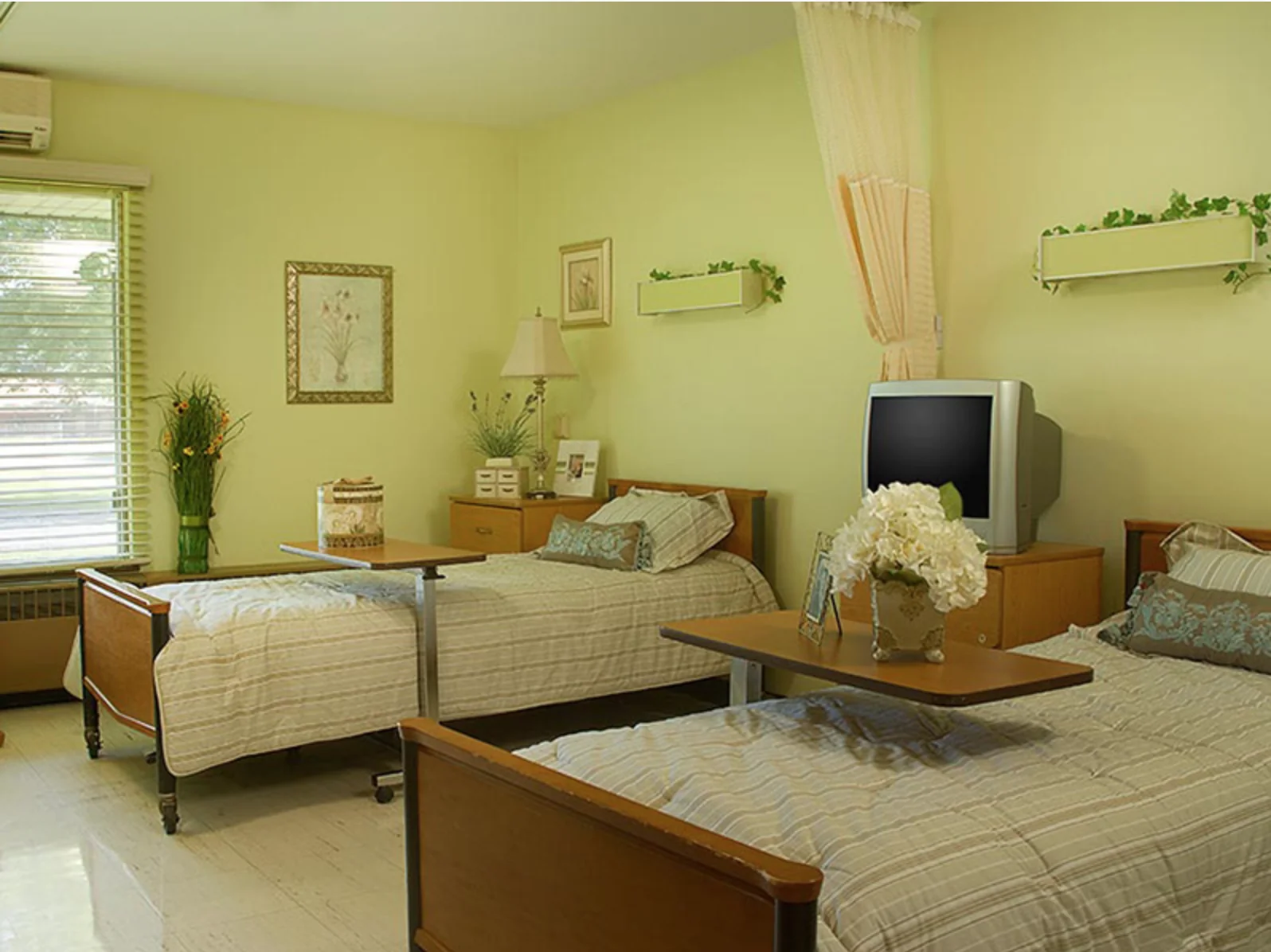 MEADOW VIEW HEALTH SERVICES