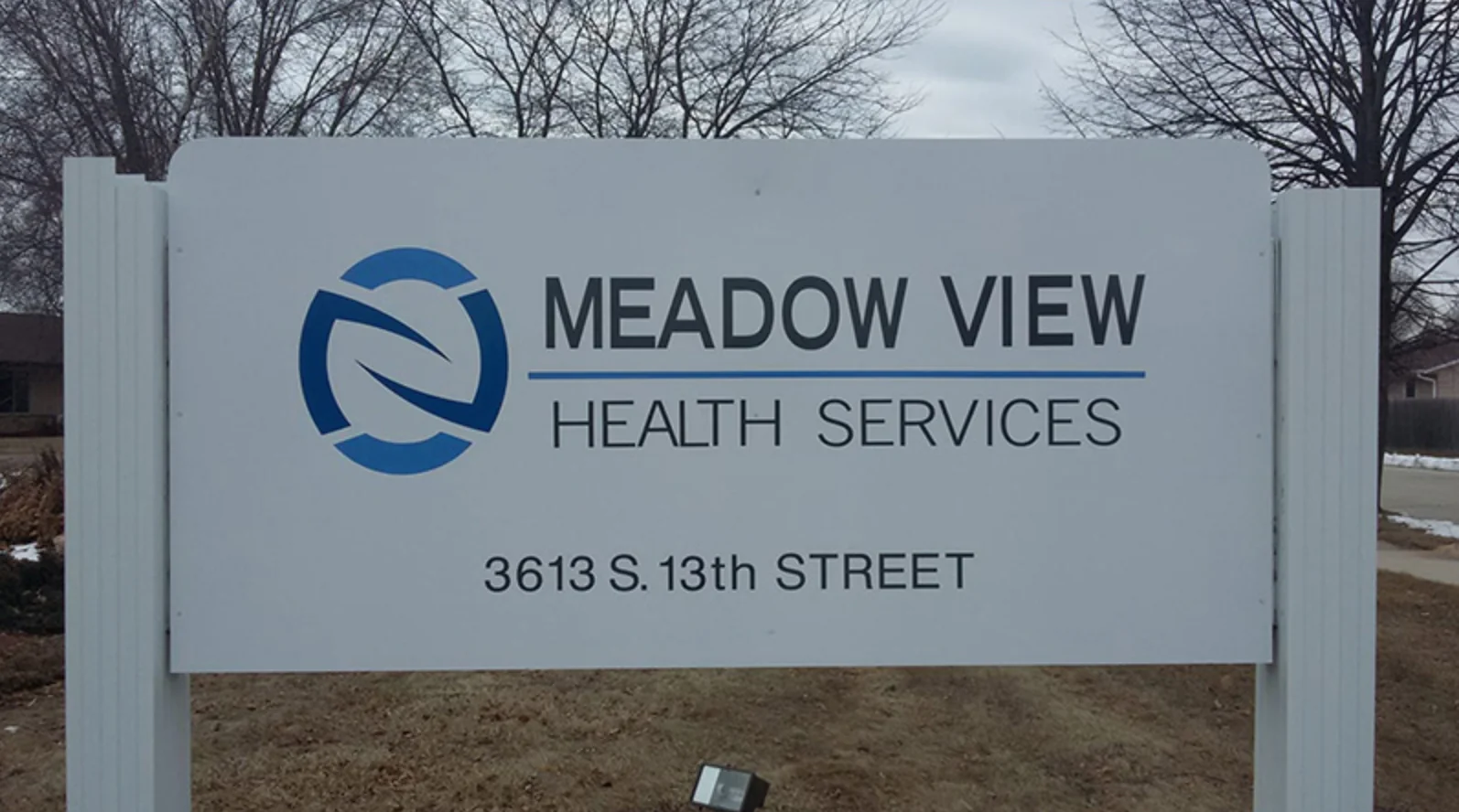 MEADOW VIEW HEALTH SERVICES