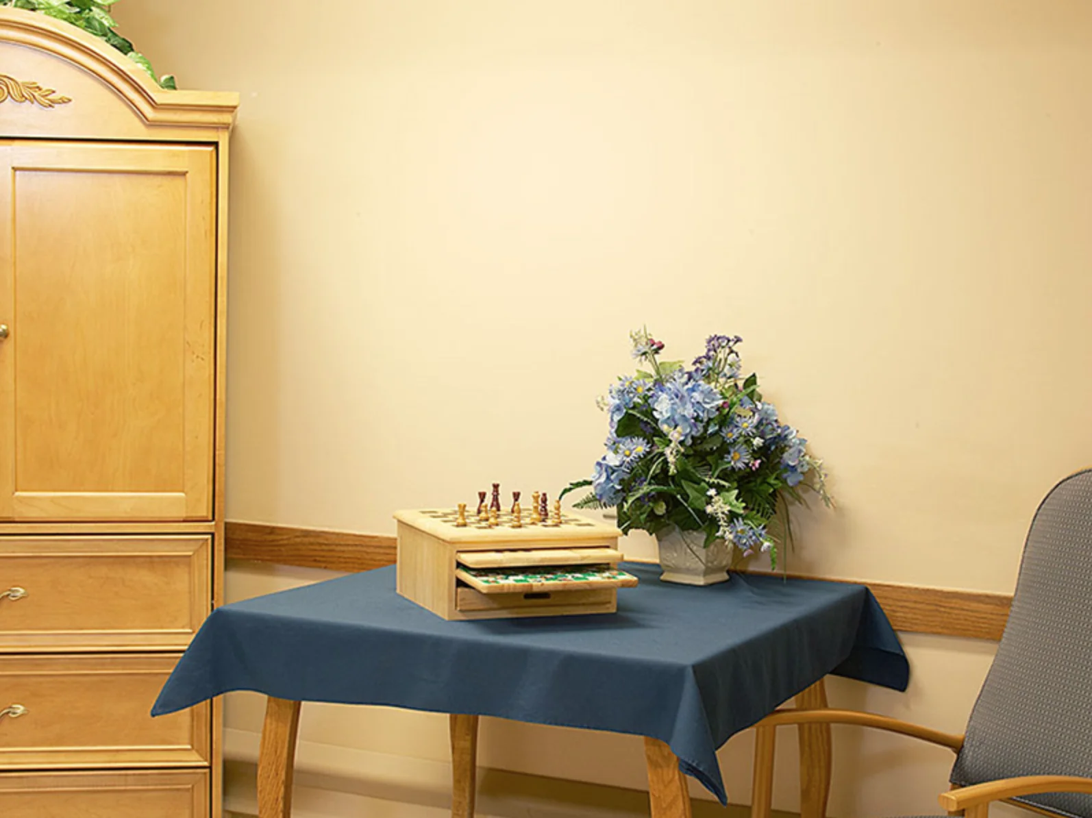MEADOW VIEW HEALTH SERVICES
