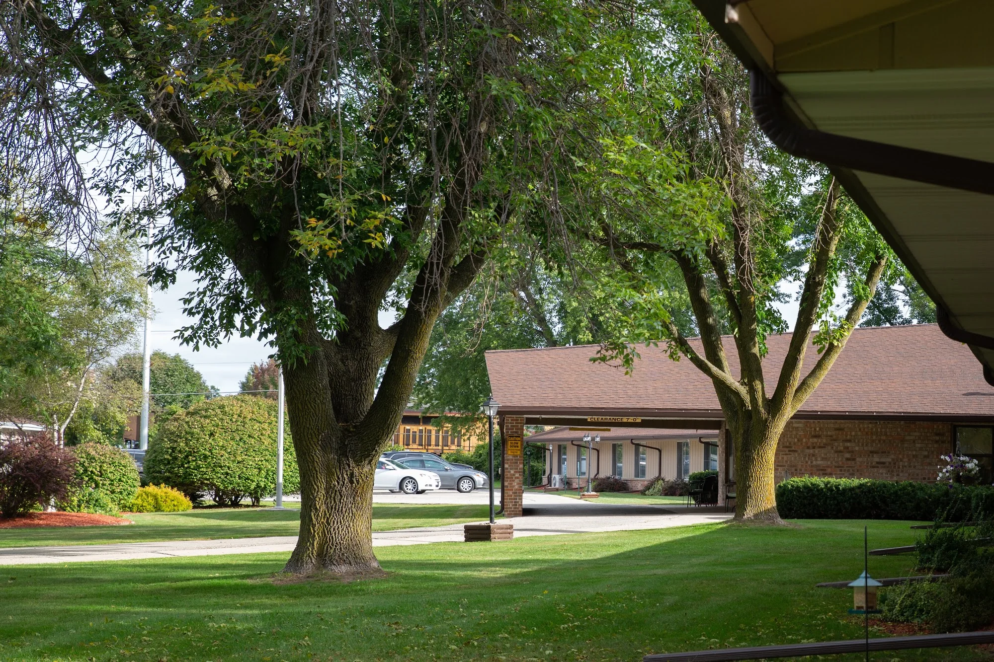 MEADOW VIEW HEALTH SERVICES