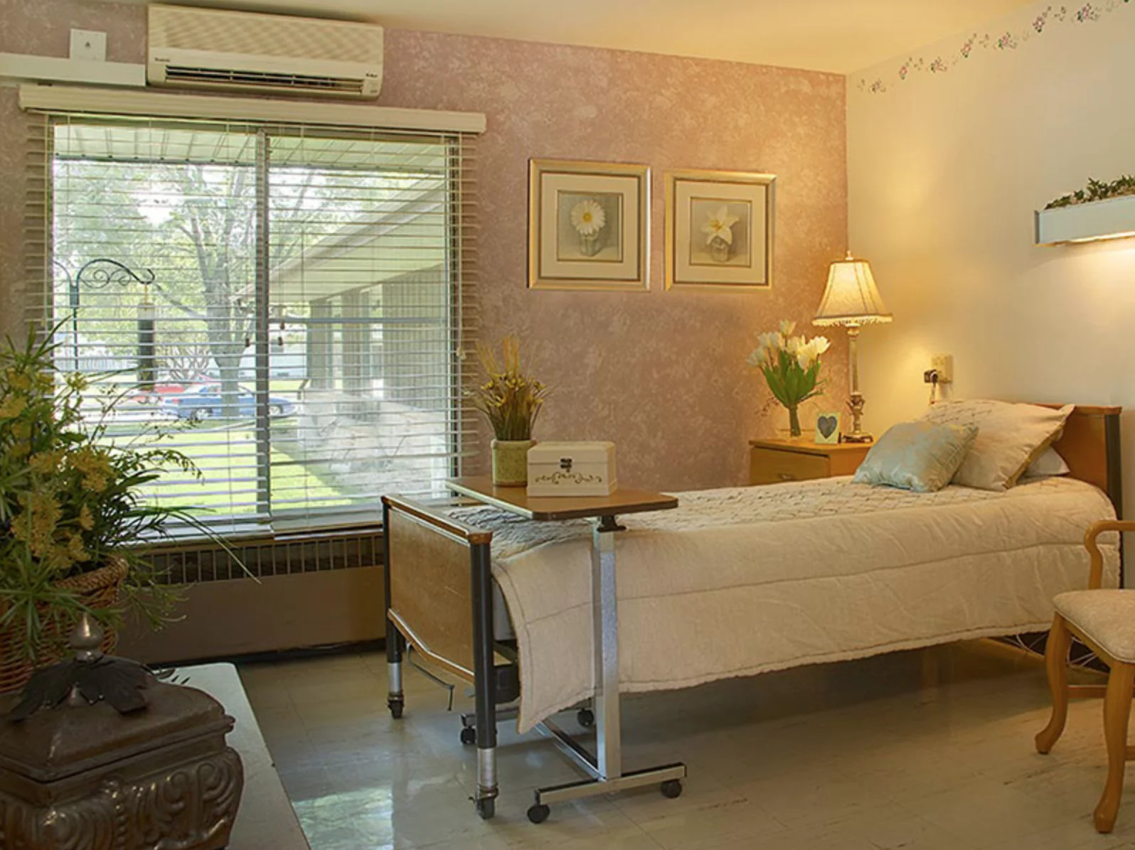 MEADOW VIEW HEALTH SERVICES