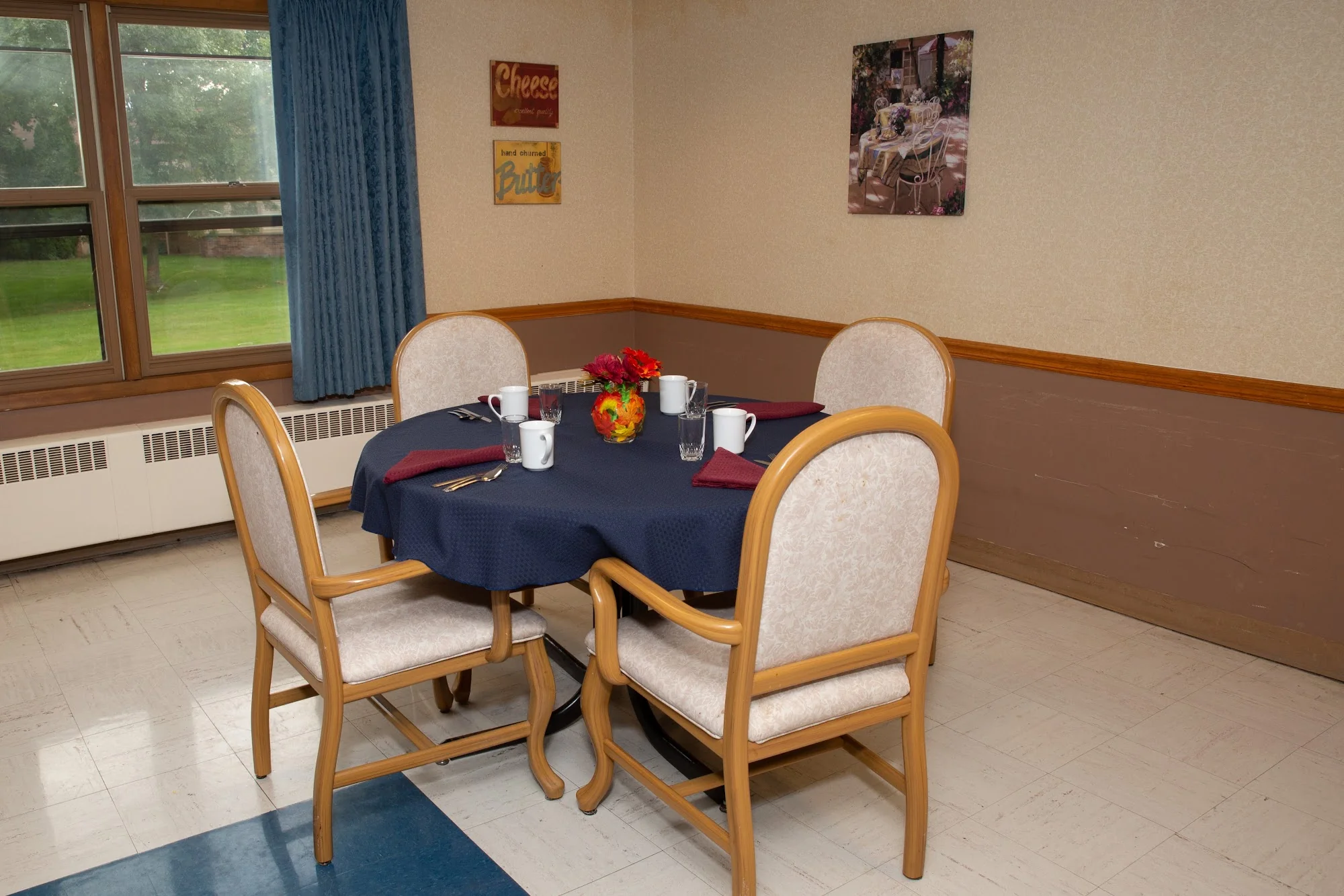 MEADOW VIEW HEALTH SERVICES