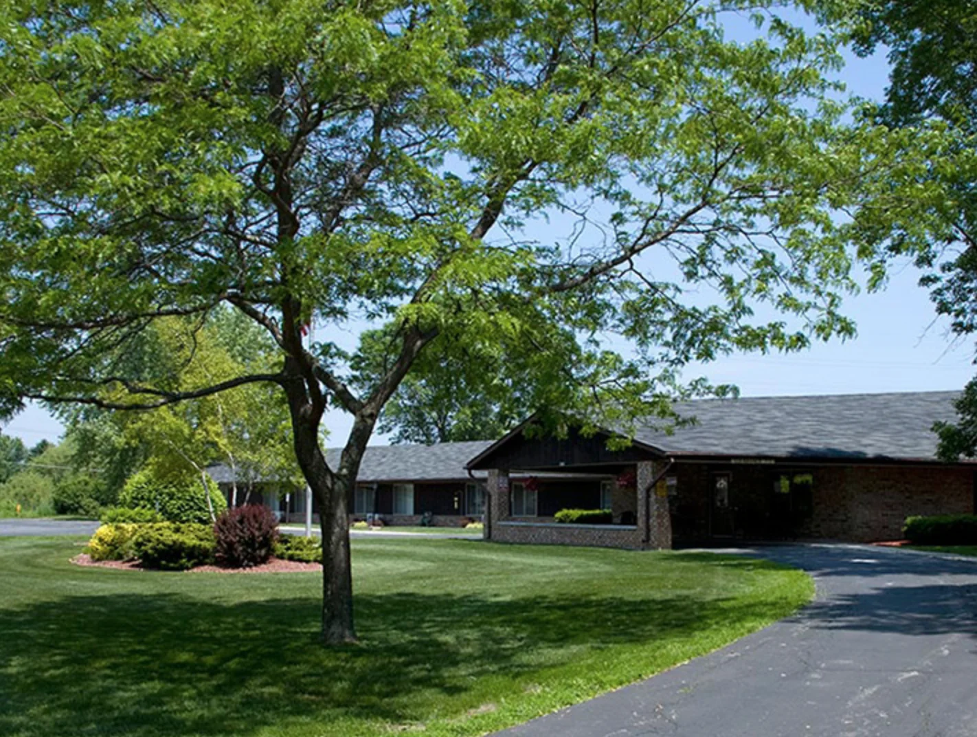 MEADOW VIEW HEALTH SERVICES