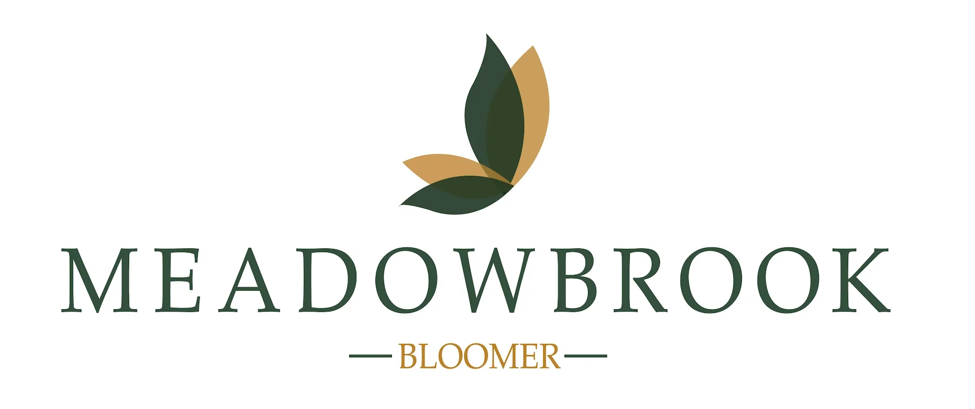 MEADOWBROOK AT BLOOMER