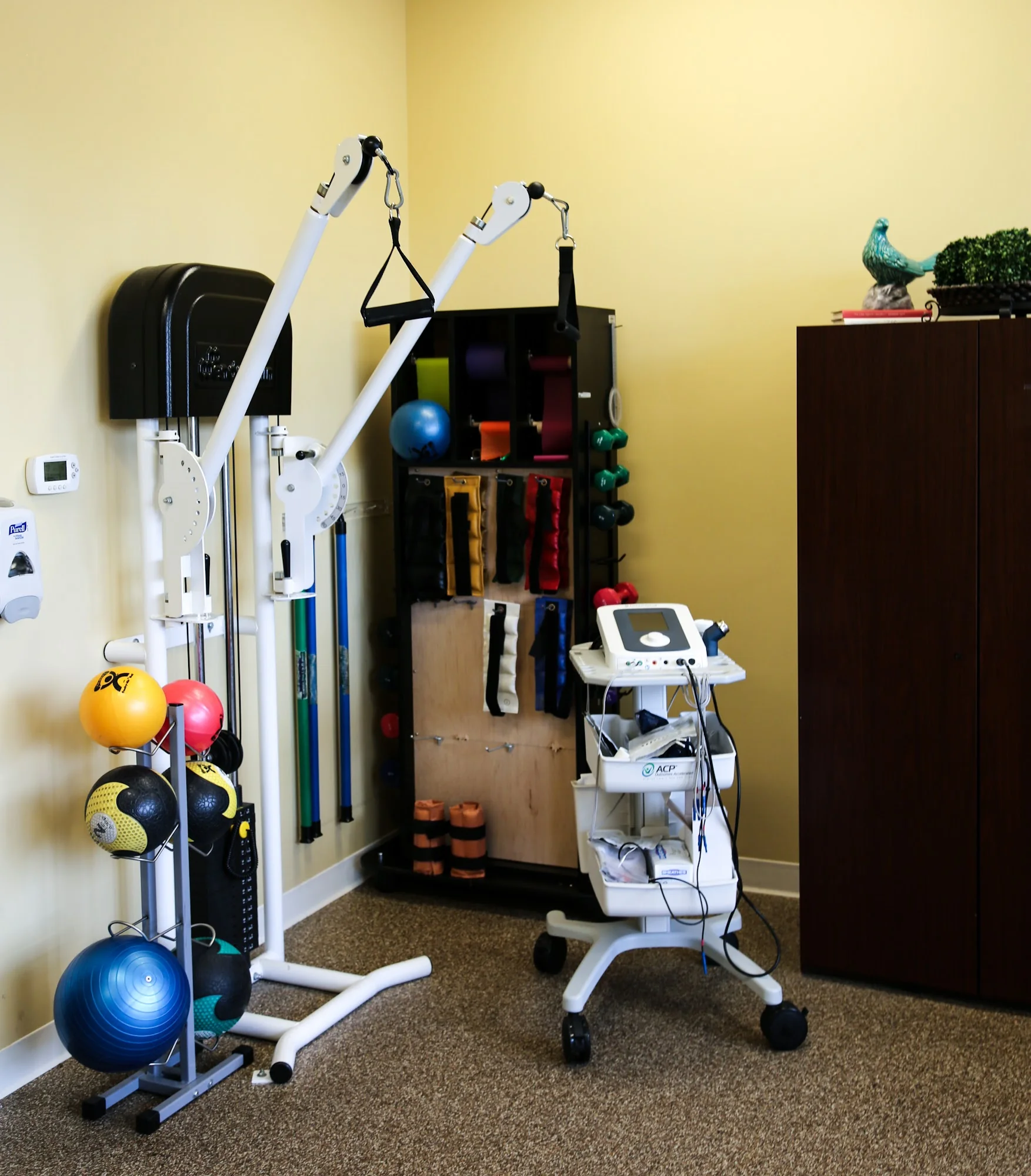 MEADOWS PARK HEALTH AND REHABILITATION