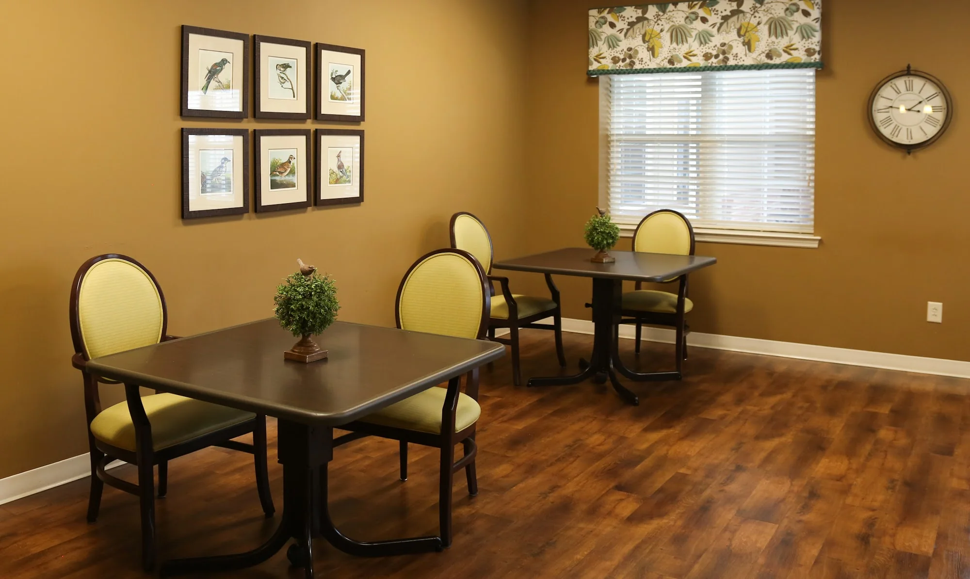 MEADOWS PARK HEALTH AND REHABILITATION