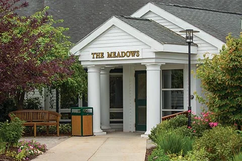 MEADOWS, THE